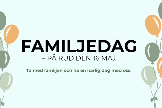 ballonger,info,familjedag,rud