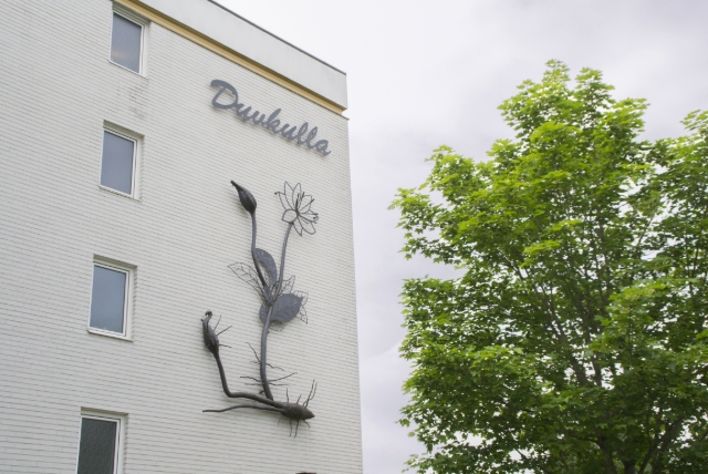 fastigheten duvkulla